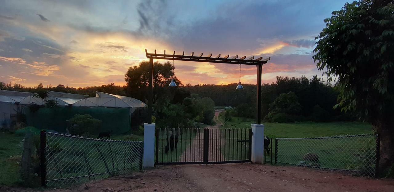 Chikmagalūr Silvershine Homestay מראה חיצוני תמונה